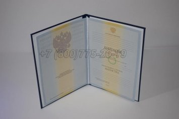 Диплом Магистра 2009г в Иркутске