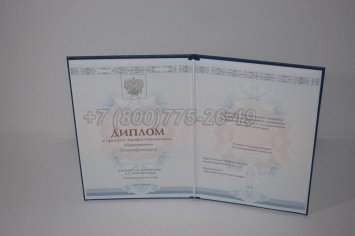 Диплом Колледжа 2016г ГОЗНАК в Иркутске