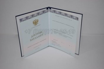 Диплом Бакалавра 2017г ООО "Знак" в Иркутске