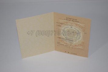 Аттестат За 11 Класс 1993г в Иркутске