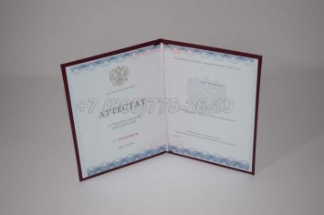 Аттестат За 11 Класс 2015г Золото ГОЗНАК в Иркутске